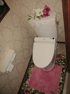 toilet_S01_A